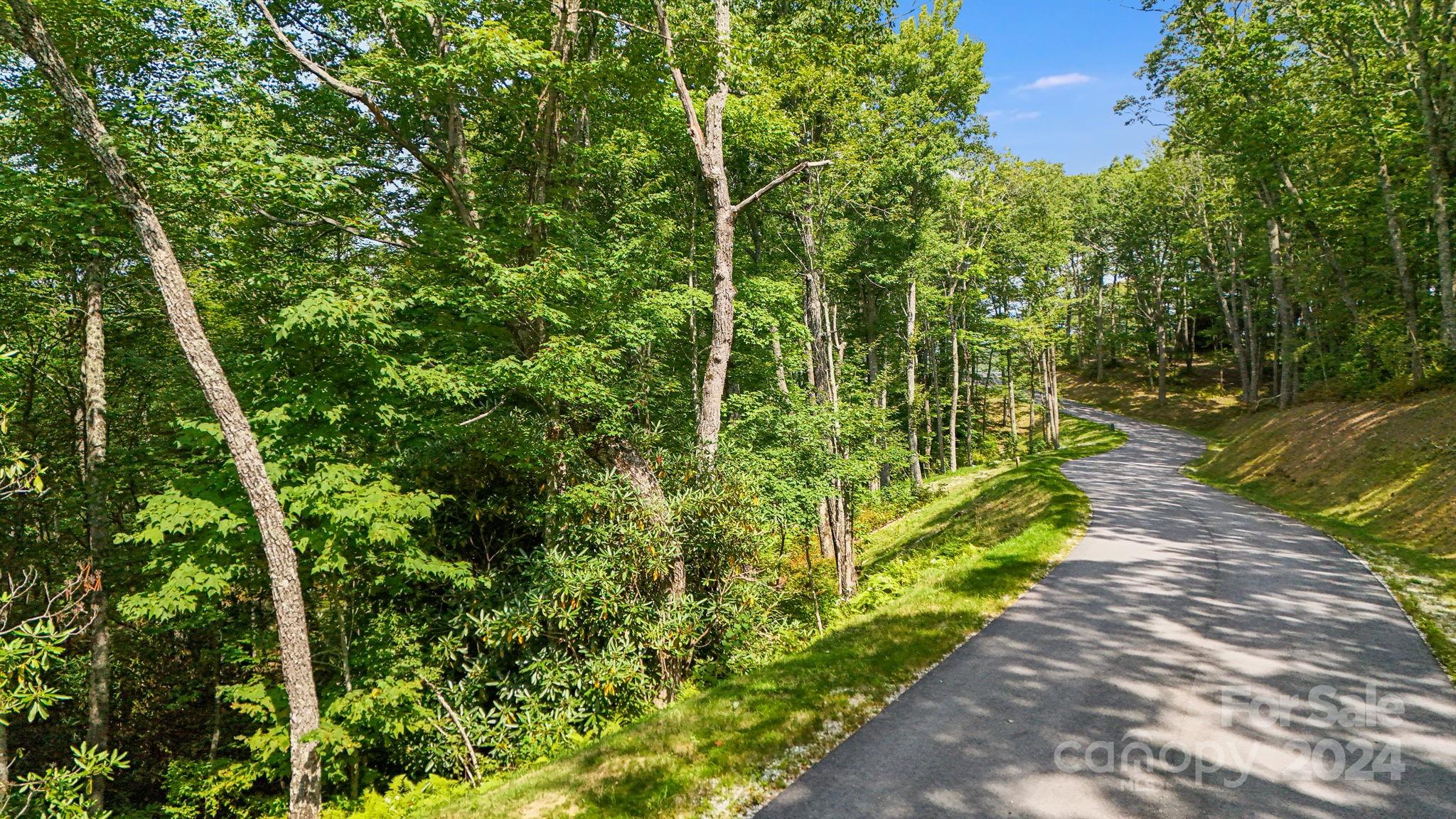 Lot D52 Springwater Road Glenville, NC 28736 - Photo 9 of 47