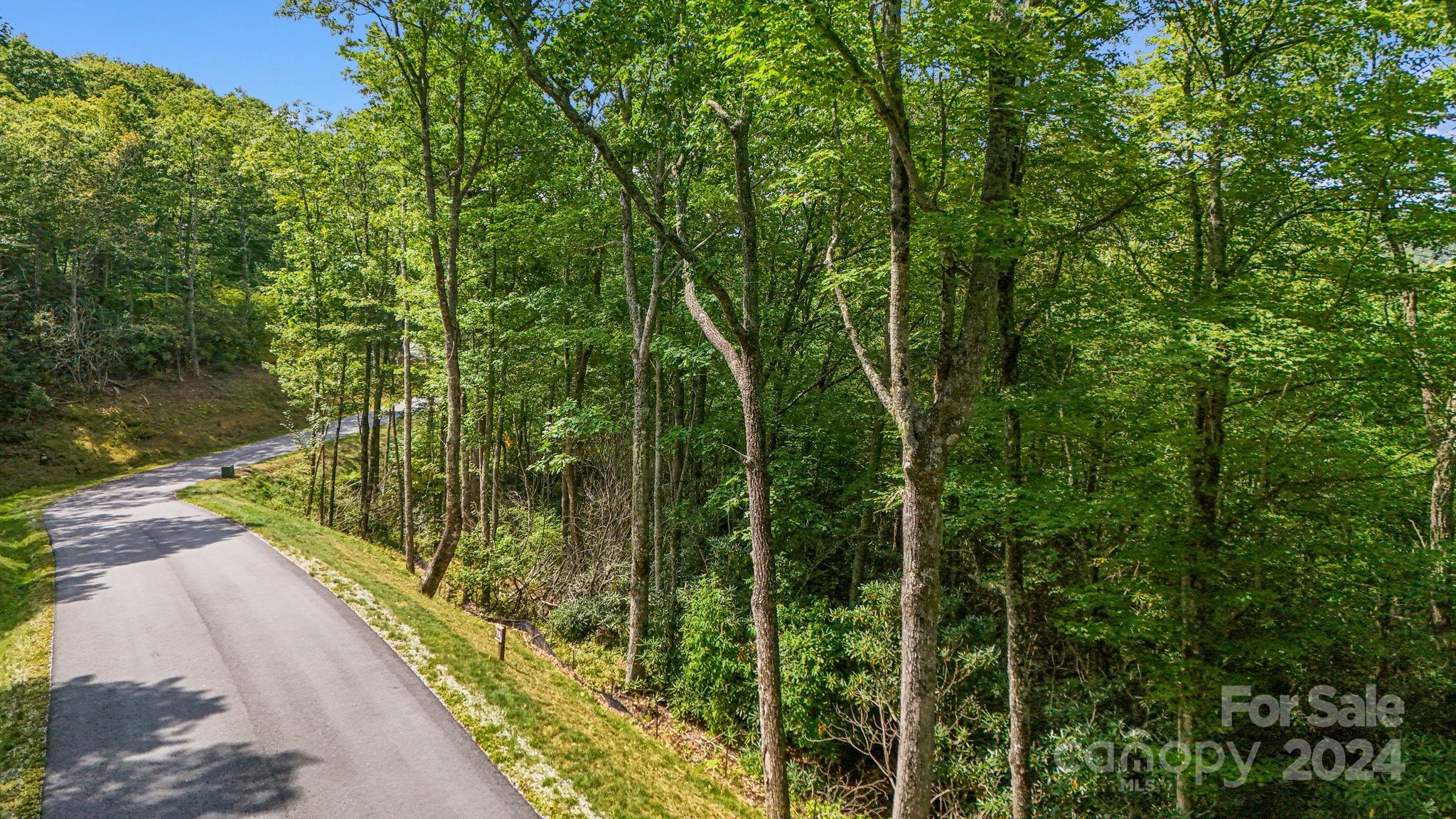 Lot D52 Springwater Road Glenville, NC 28736 - Photo 10 of 47 a view of a garden