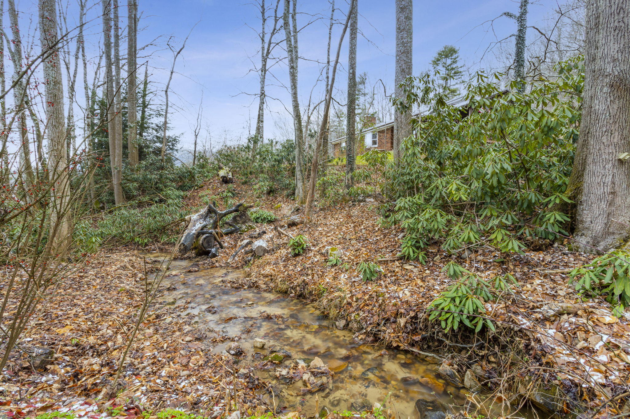 1499 Copley Branch Road Butler, TN 37640 - Photo 27 of 28 28-web-or-mls-IMG_6764