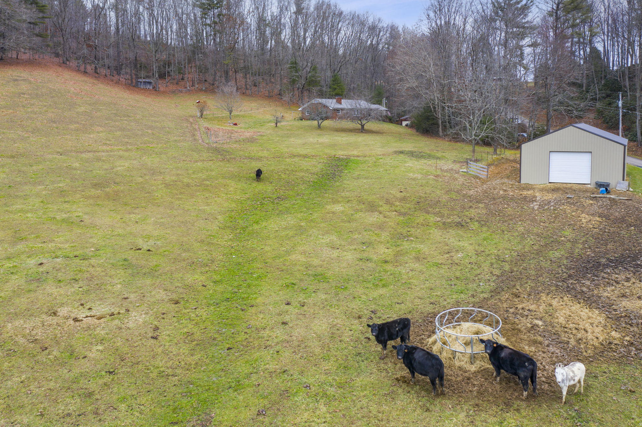 1499 Copley Branch Road Butler, TN 37640 - Photo 5 of 28 4-web-or-mls-DJI_0597