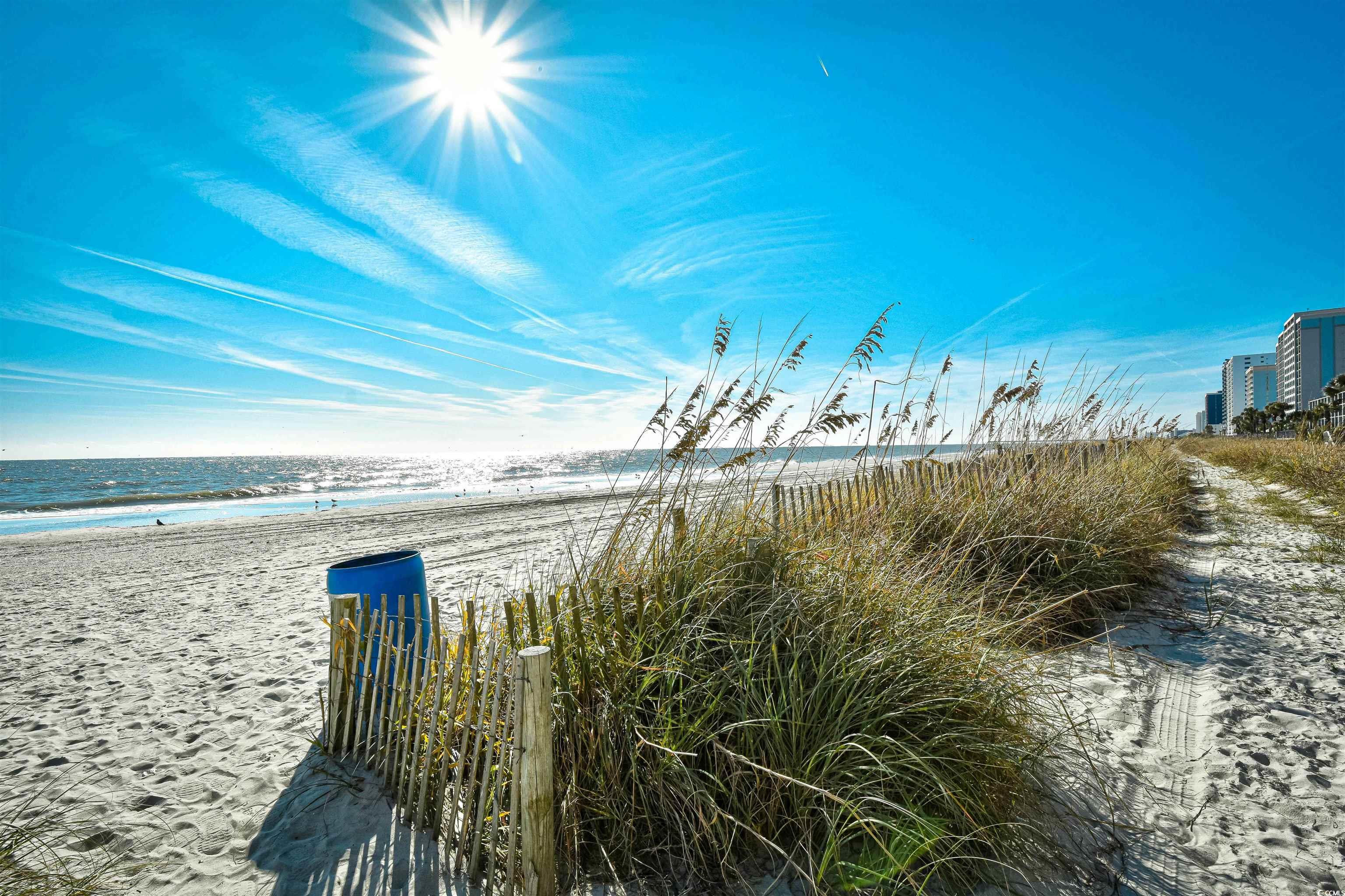 305 21st Avenue South, Unit 115 Myrtle Beach, SC 29577 - Photo 31 of 33