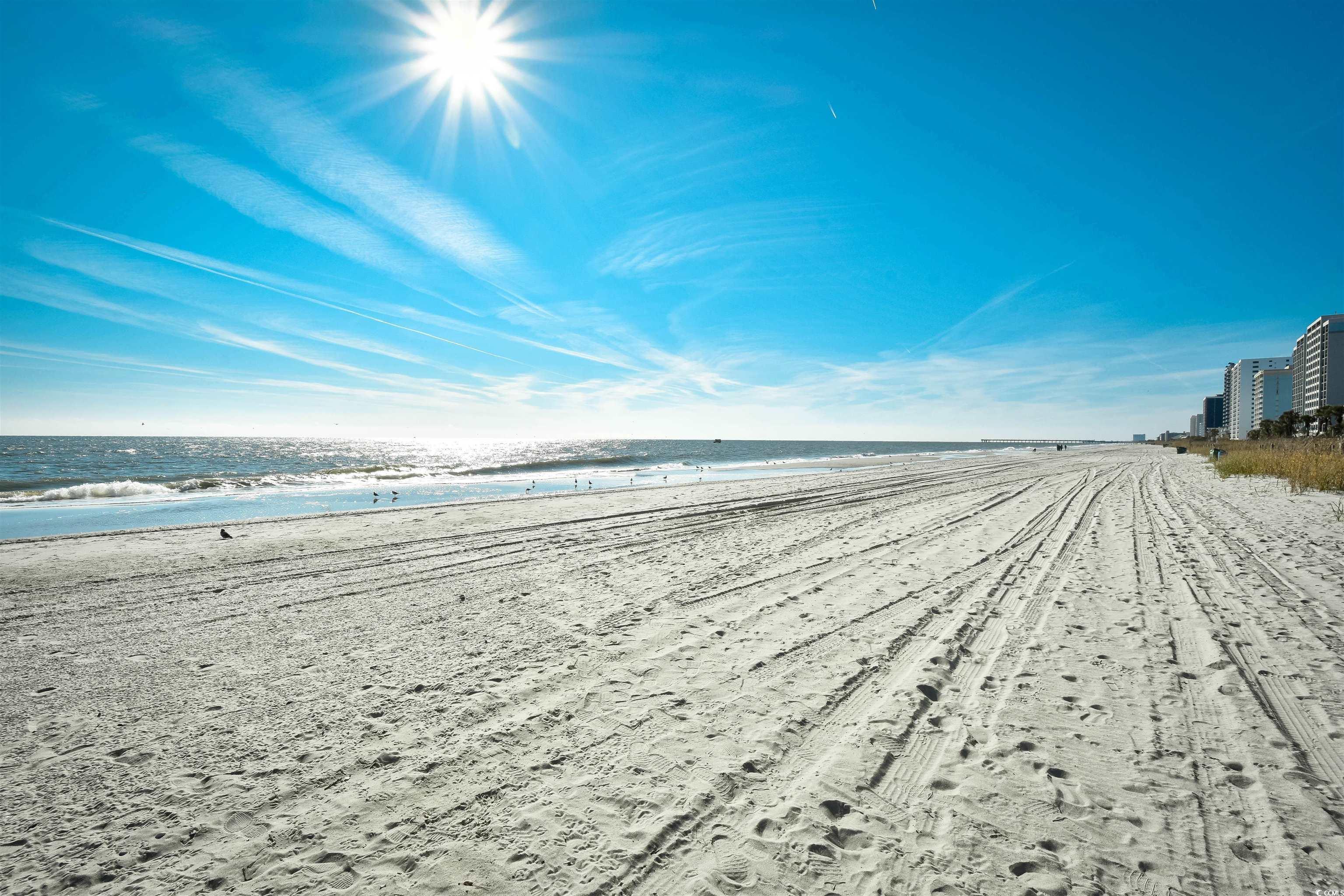 305 21st Avenue South, Unit 115 Myrtle Beach, SC 29577 - Photo 33 of 33