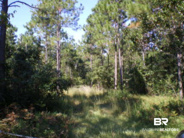 0 Baldwin Avenue Stapleton, AL 36578 - Photo 1 of 1