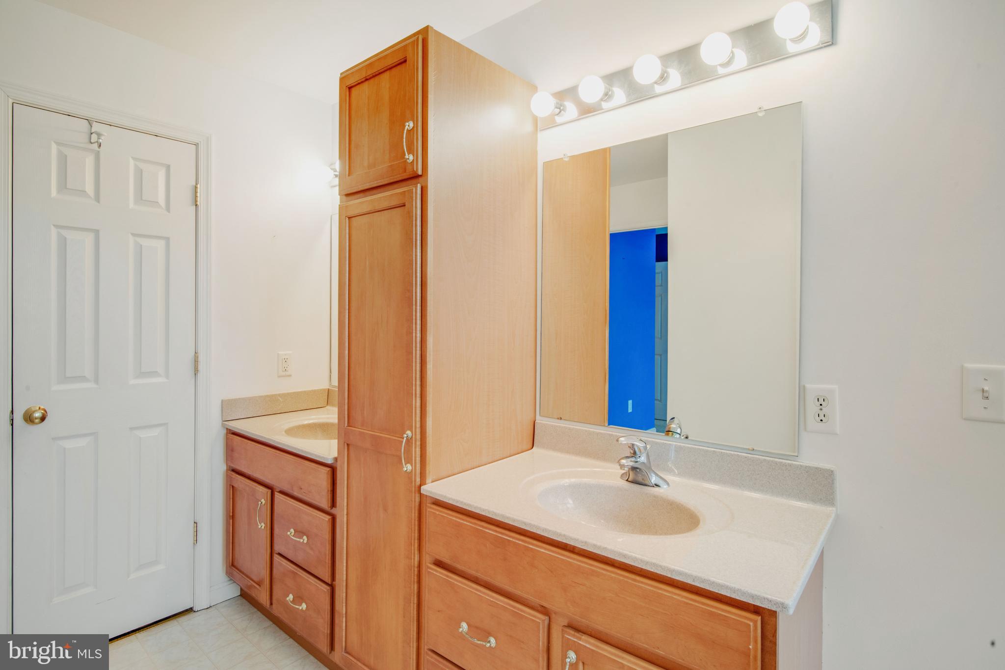 13308 Hatchery Road Bishopville, MD 21813 - Photo 9 of 57 Primary bedroom Bath w/double vanity and cabinet