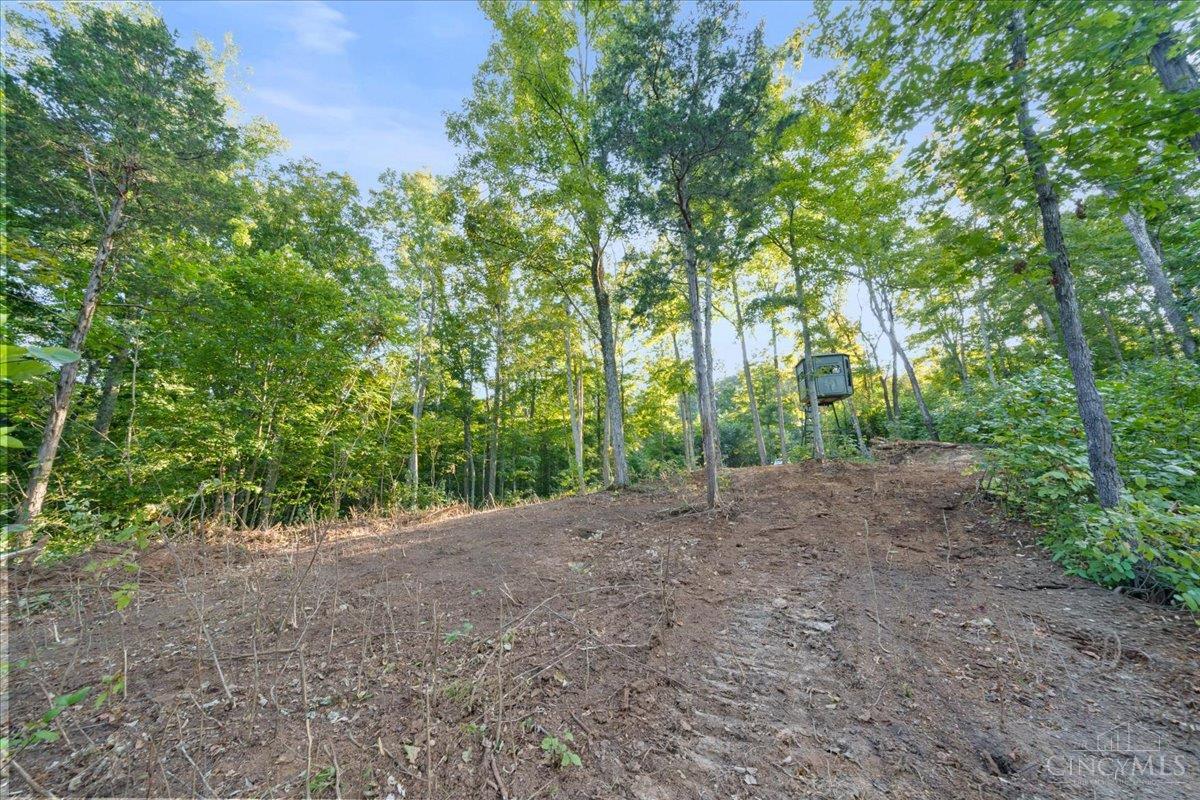 Acres Waggoner Riffle Road West Union, OH 45693 - Photo 3 of 29 Gallery Image 3
