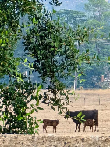 $490,000 | 860 Annandale Road, Beaumont, CA 92223