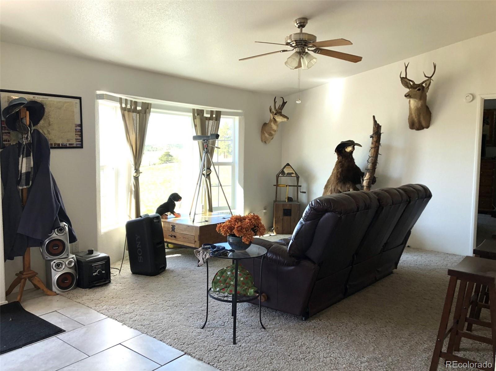 1983 Arapahoe Road Hartsel, CO 80449 - Photo 15 of 39 a living room with furniture a flat screen tv and a window