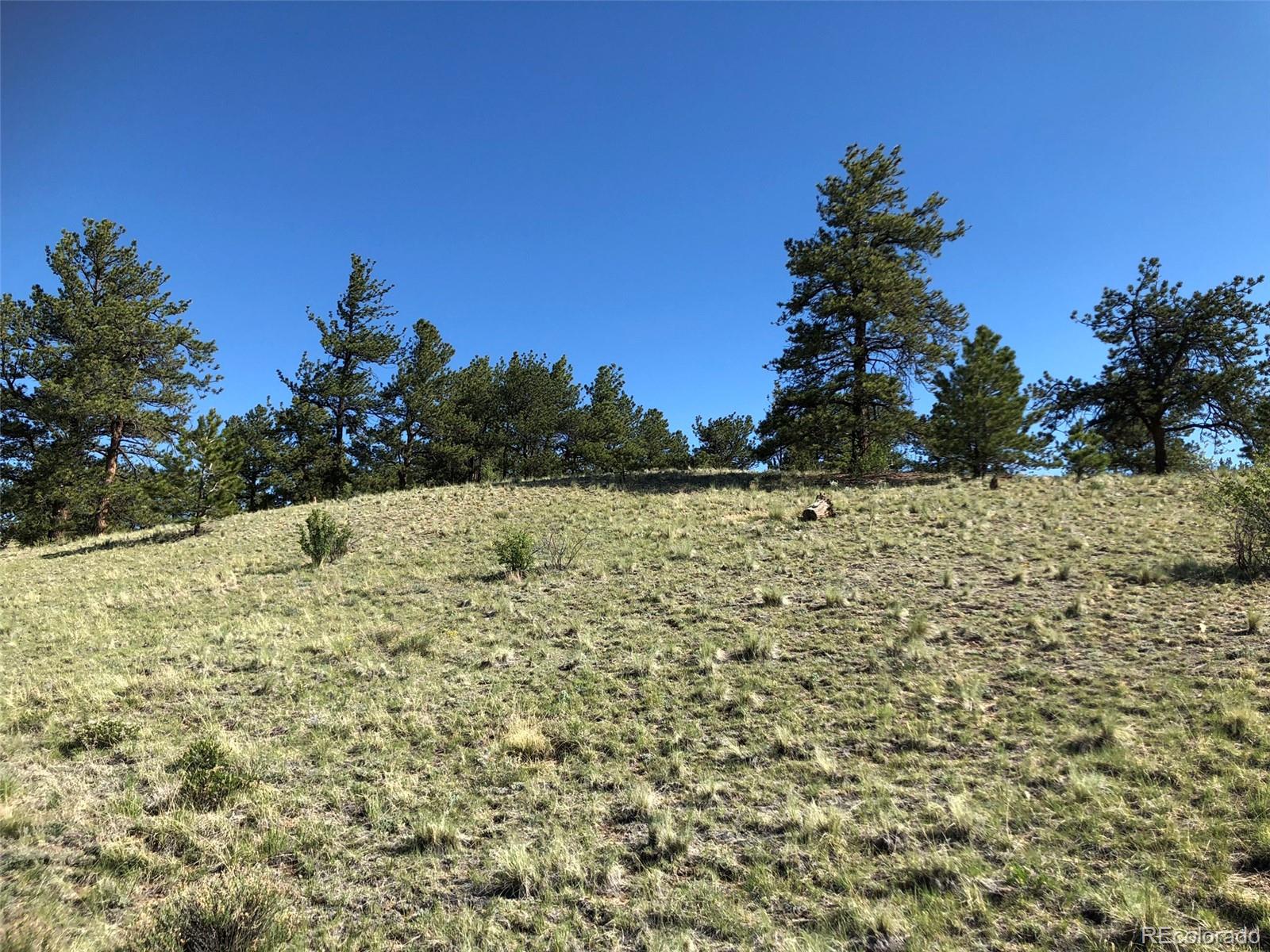 1983 Arapahoe Road Hartsel, CO 80449 - Photo 35 of 39 a view of a yard with a tree