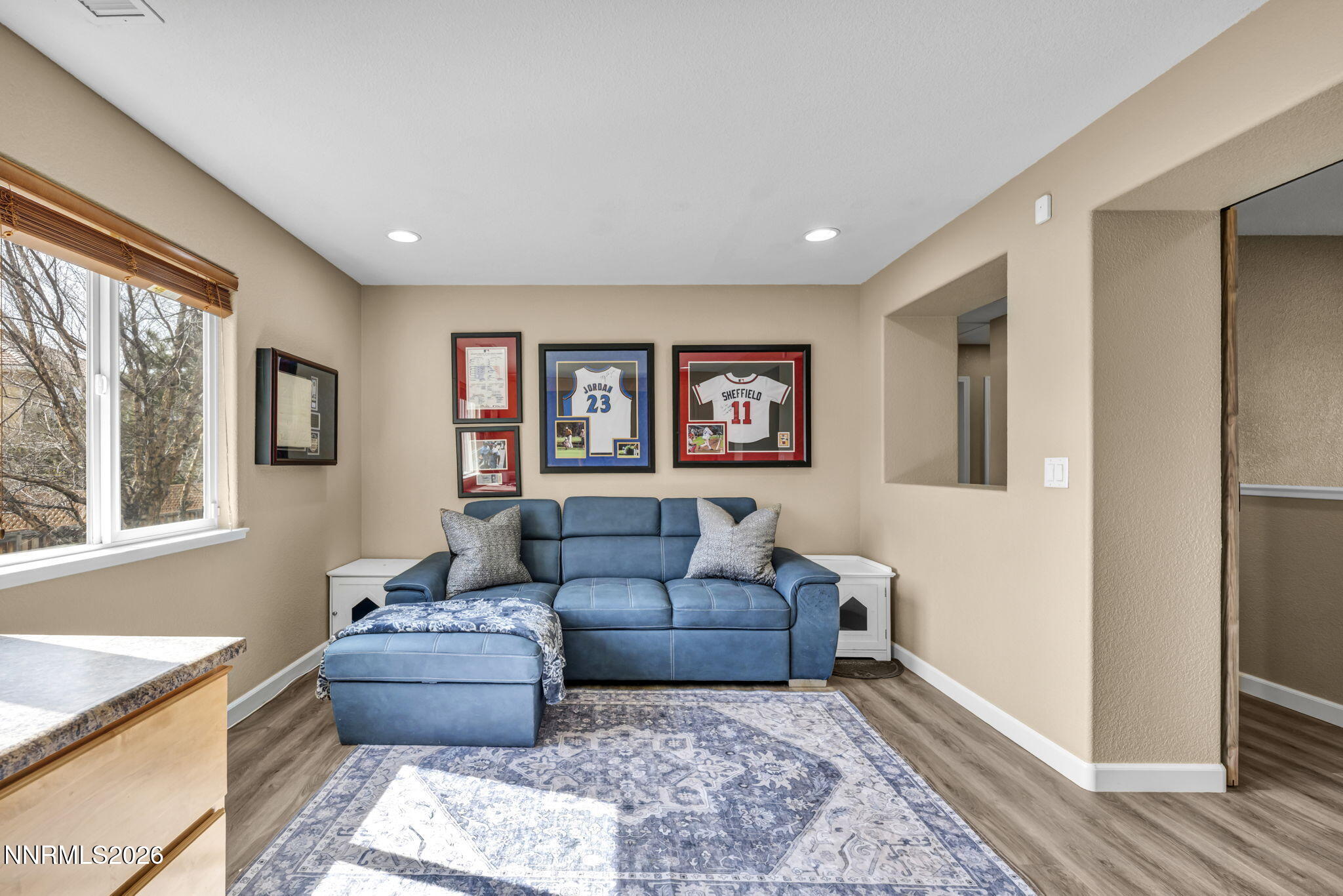 490 Luciana Drive Reno, NV 89521 - Photo 18 of 43 66-web-or-mls-490-luciana-dr