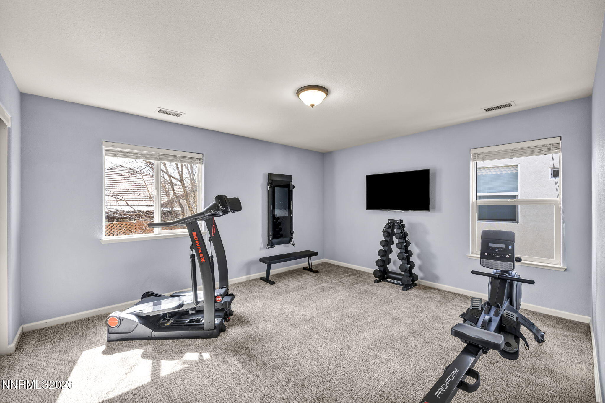 490 Luciana Drive Reno, NV 89521 - Photo 31 of 43 73-web-or-mls-490-luciana-dr