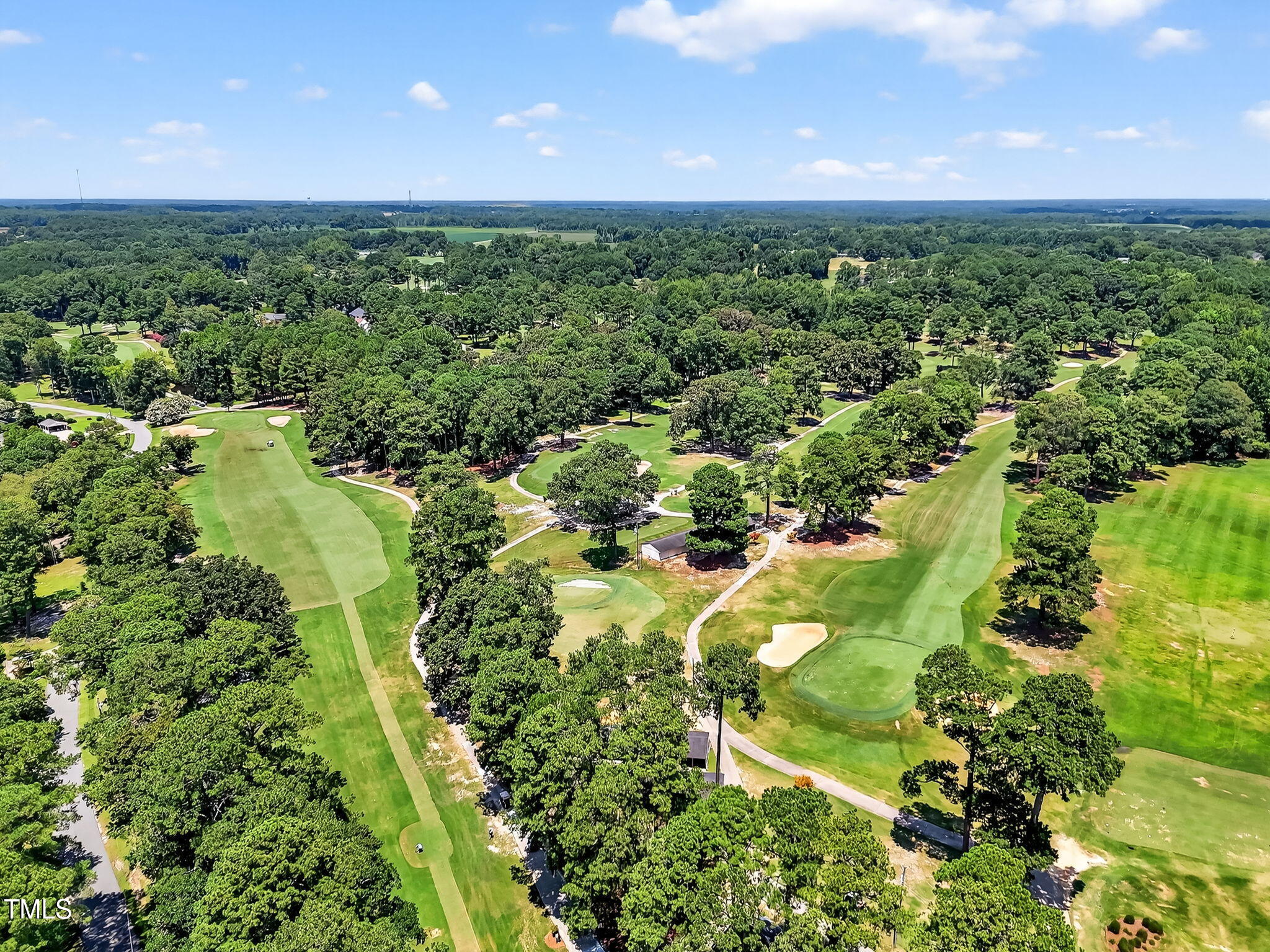 309 Skinner Road Four Oaks, NC 27524 - Photo 72 of 85 79-web-or-mls-DJI_20250725130339_0488_D