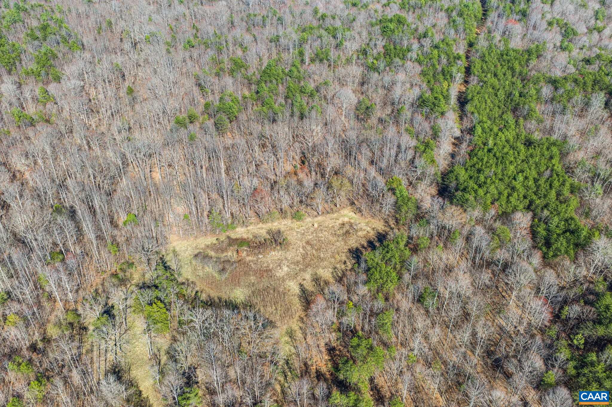 12145 South Constitution Route Scottsville, VA 24590 - Photo 13 of 22 a view of a yard