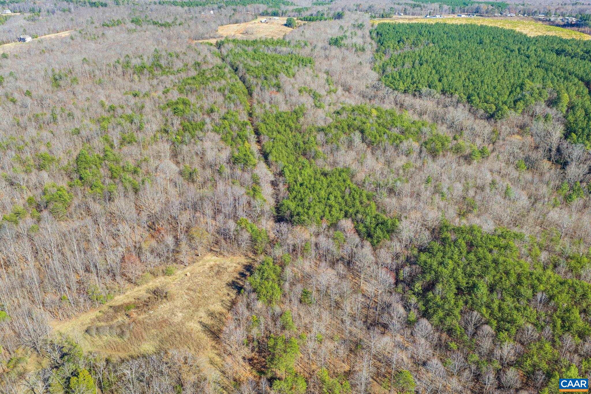 12145 South Constitution Route Scottsville, VA 24590 - Photo 14 of 22 a view of a yard with plants and wooden fence
