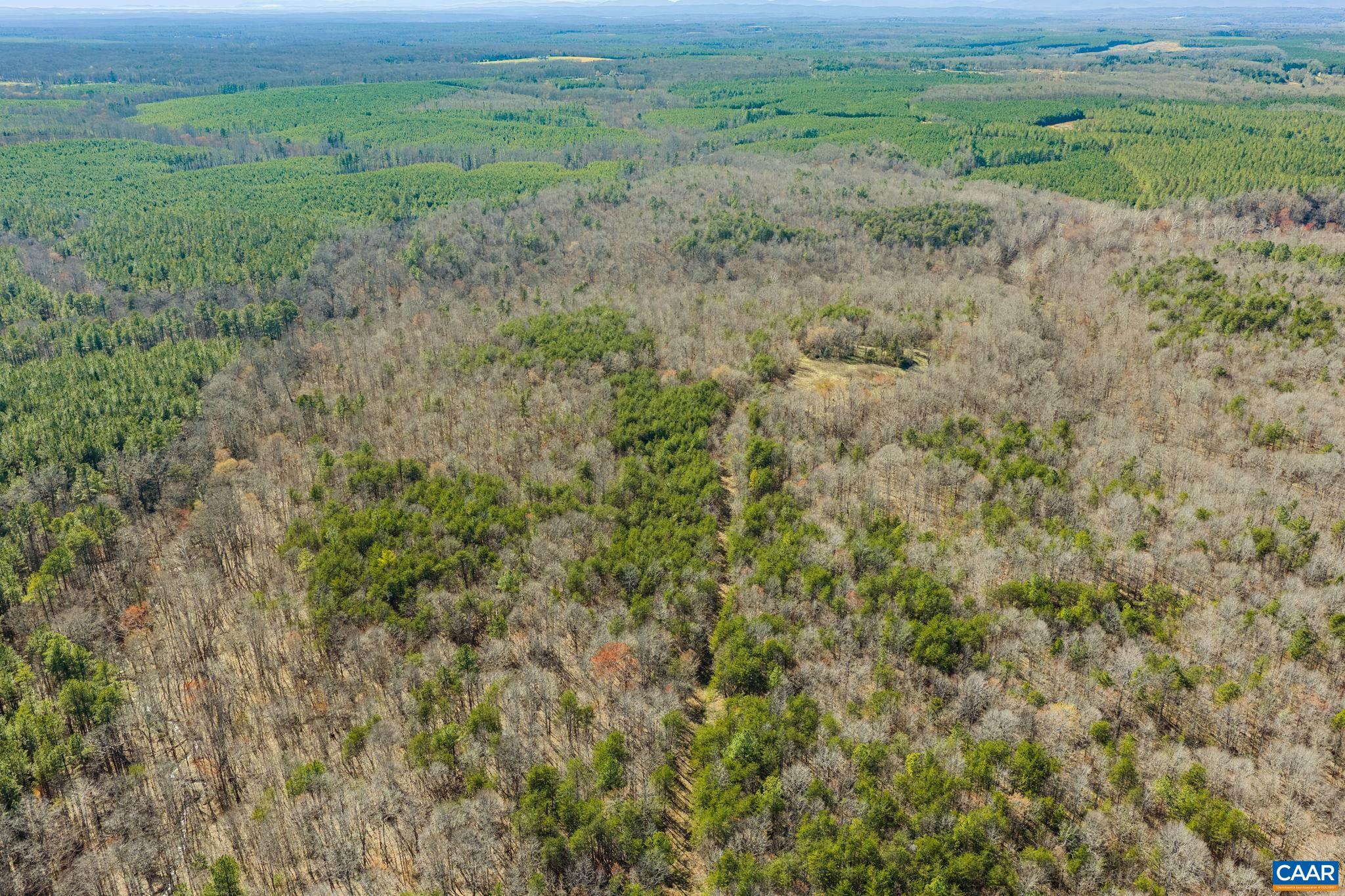 12145 South Constitution Route Scottsville, VA 24590 - Photo 5 of 22 a view of a field of grass and trees