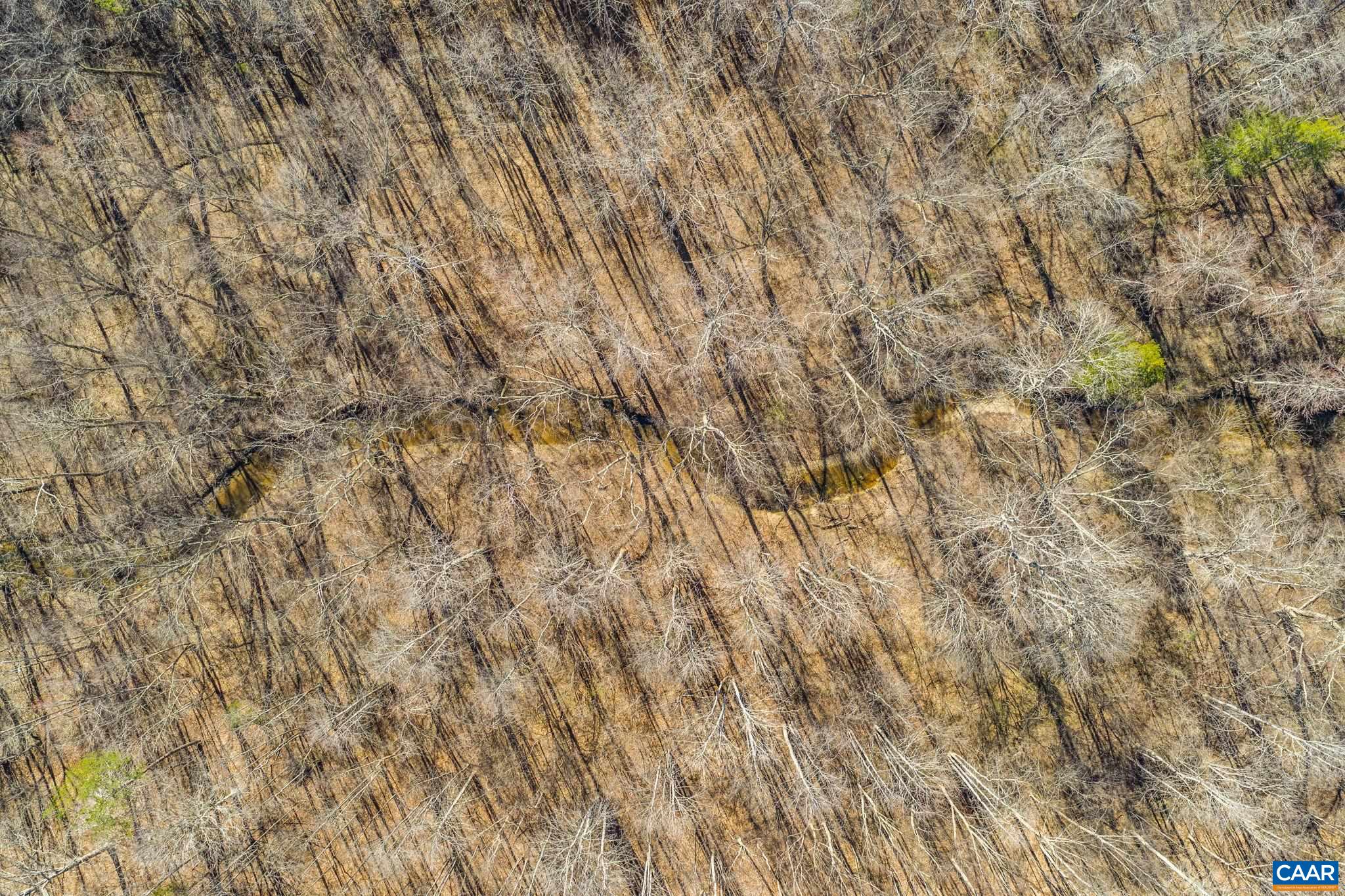 12145 South Constitution Route Scottsville, VA 24590 - Photo 9 of 22