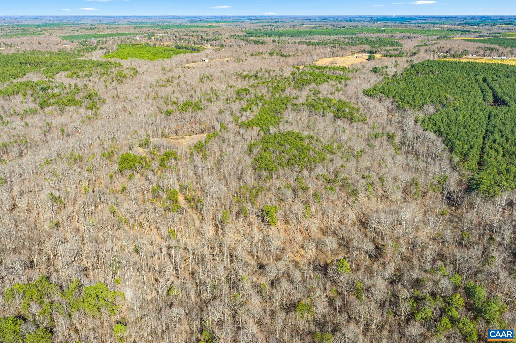 12145 South Constitution Route Scottsville, VA 24590 - Photo 10 of 22 a view of a yard with an outdoor space
