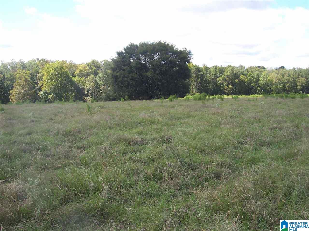 1 Hilton Road, Unit 57 ACRES Columbiana, AL 35051 - Photo 9 of 16