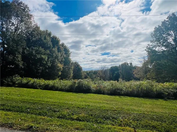 a big yard with large trees