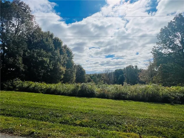 a big yard with large trees