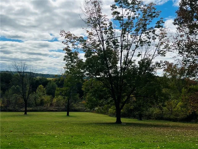 a view of a green field