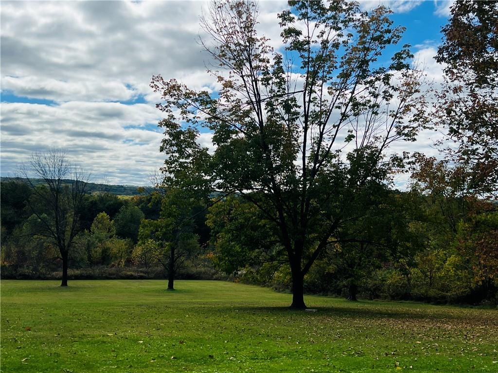185 Hopper Road Transfer, PA 16154 - Photo 2 of 7 a big yard with large trees
