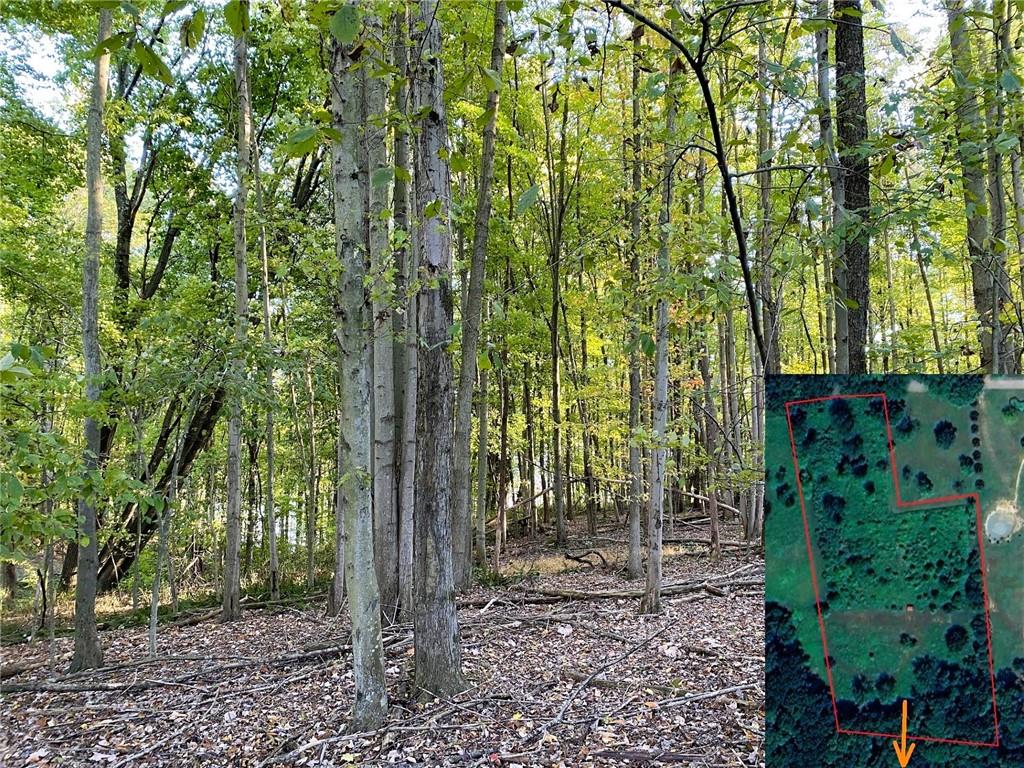 185 Hopper Road Transfer, PA 16154 - Photo 4 of 7 a view of an outdoor space