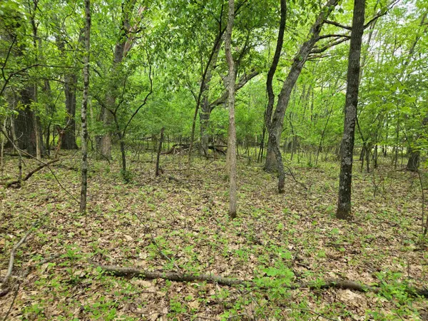 $130,000 | Lot Oxbow, Lot Oxbow, Princeton, WI 54968