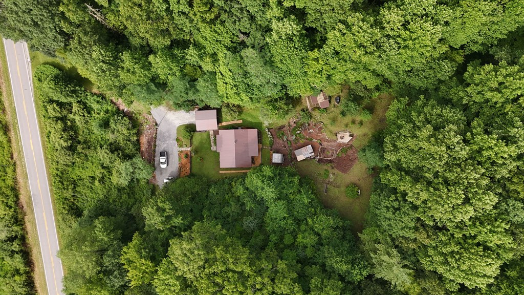 19712 Wayah Road Topton, NC 28781 - Photo 31 of 44