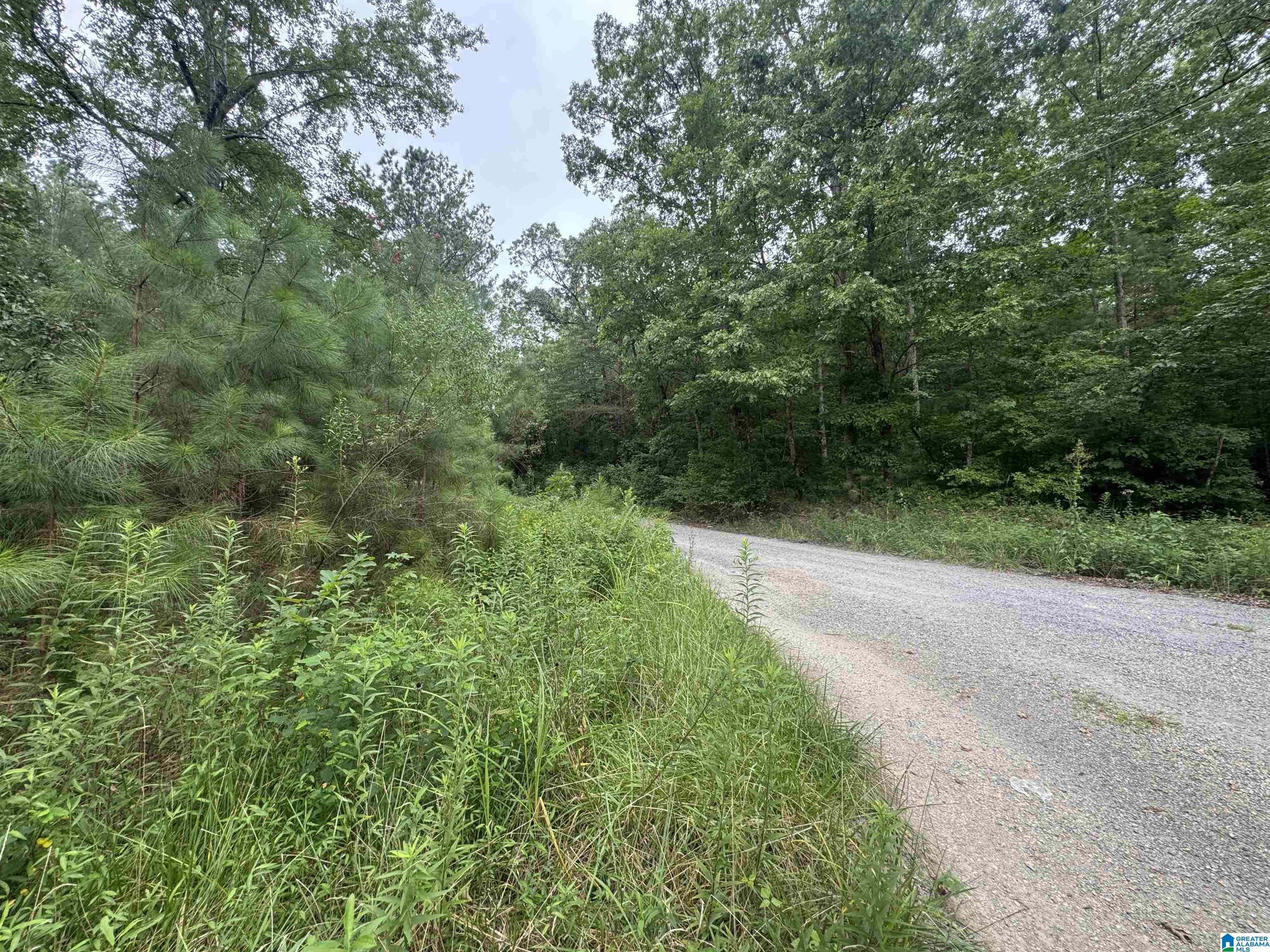 204 County Road, Unit 3055 Nauvoo, AL 35578 - Photo 2 of 6