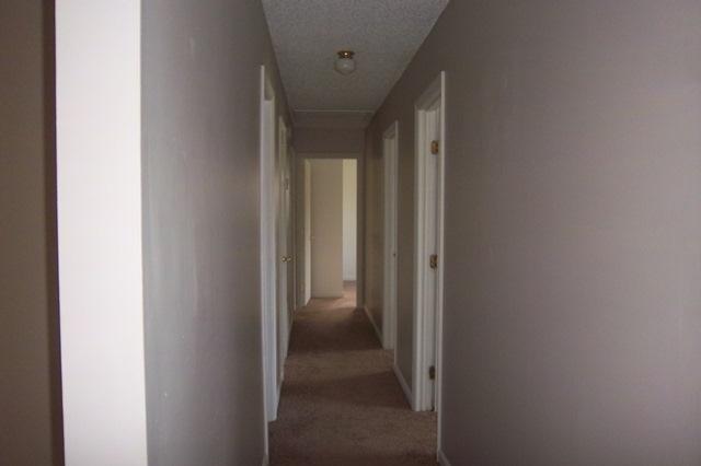 1307 Beulah Road Smoaks, SC 29481 - Photo 19 of 31 Hallway