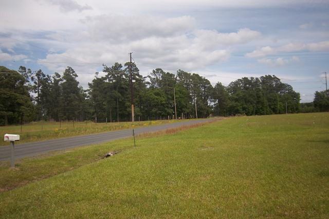 1307 Beulah Road Smoaks, SC 29481 - Photo 27 of 31 Street View from front door
