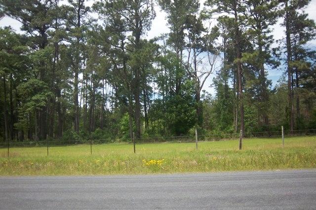 1307 Beulah Road Smoaks, SC 29481 - Photo 28 of 31 Across Street view