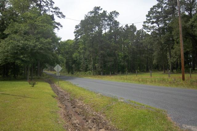 1307 Beulah Road Smoaks, SC 29481 - Photo 30 of 31 Streeet View from