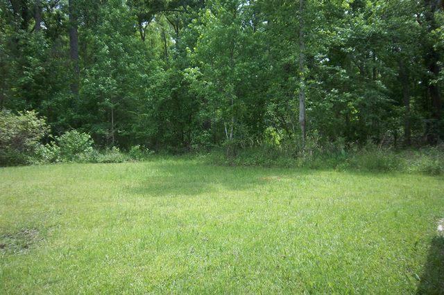 1307 Beulah Road Smoaks, SC 29481 - Photo 9 of 31 Back Yard View