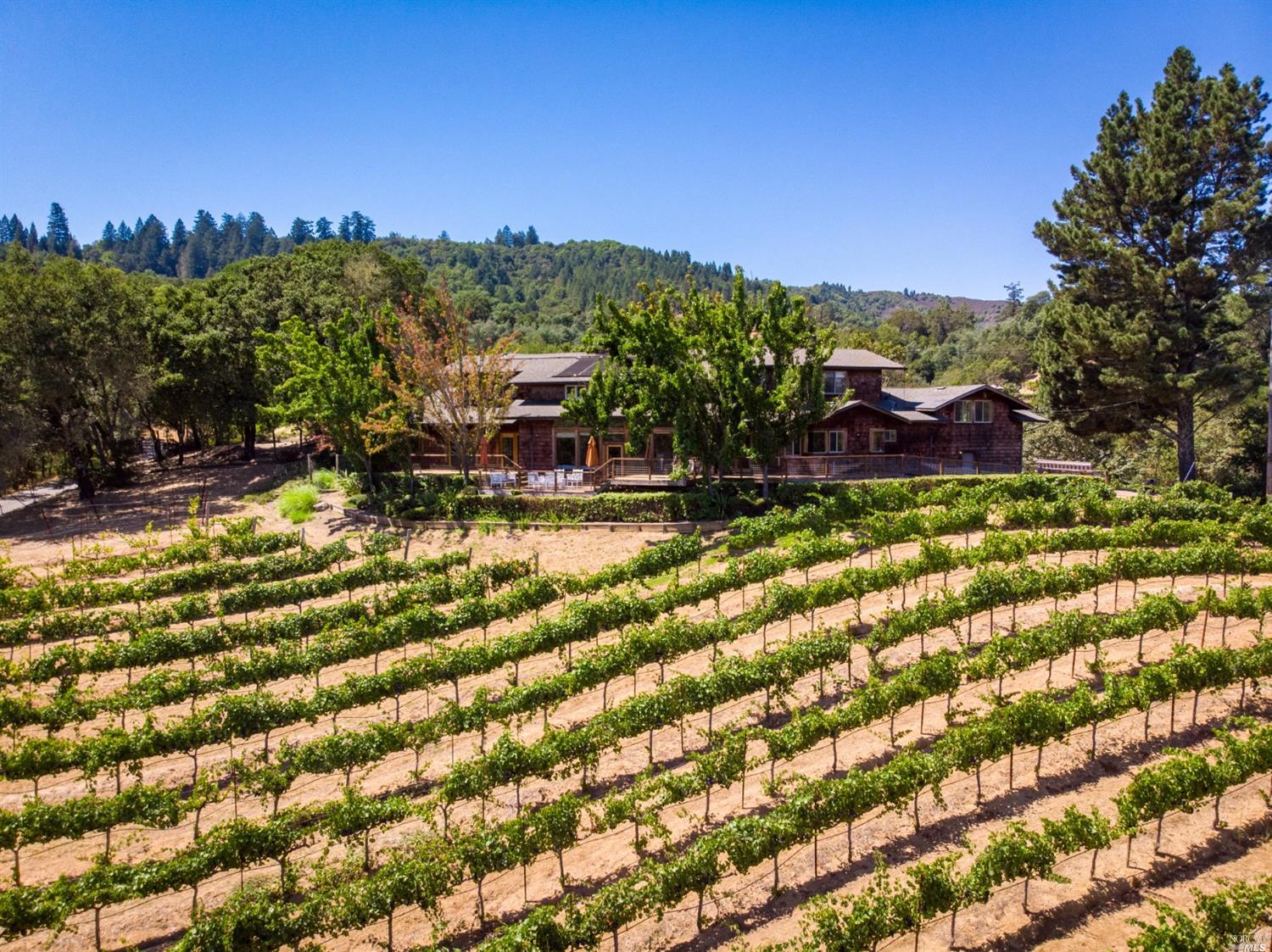6345 Mountain View Ranch Road Healdsburg, CA 95448 - Photo 1 of 1 Gallery Image 1