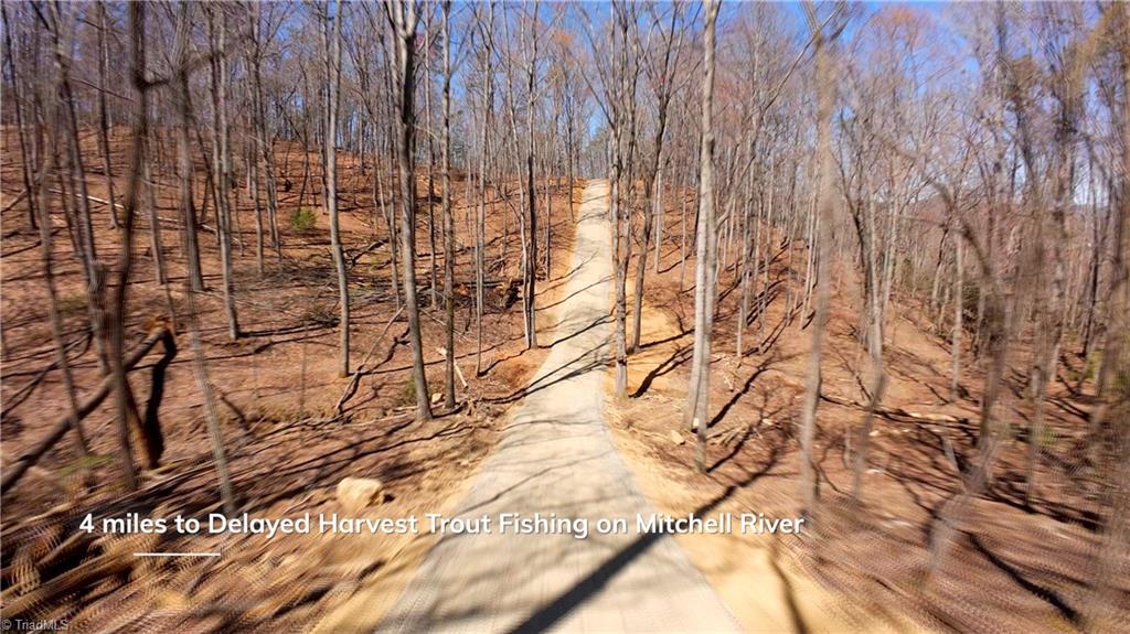 475 Fisher Valley Road Dobson, NC 27017 - Photo 13 of 50