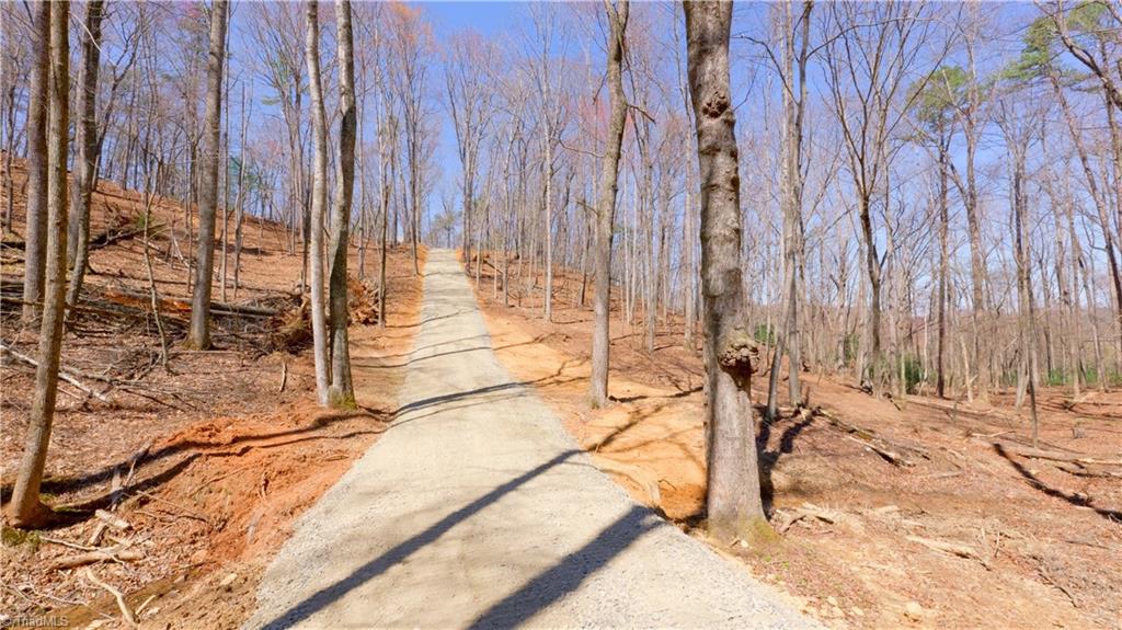 475 Fisher Valley Road Dobson, NC 27017 - Photo 14 of 50