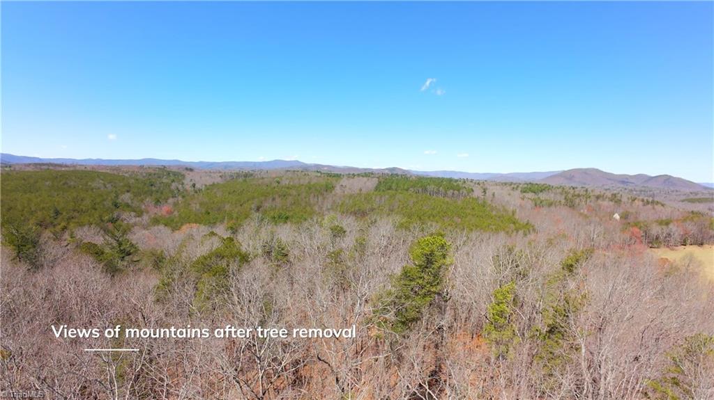 475 Fisher Valley Road Dobson, NC 27017 - Photo 15 of 50