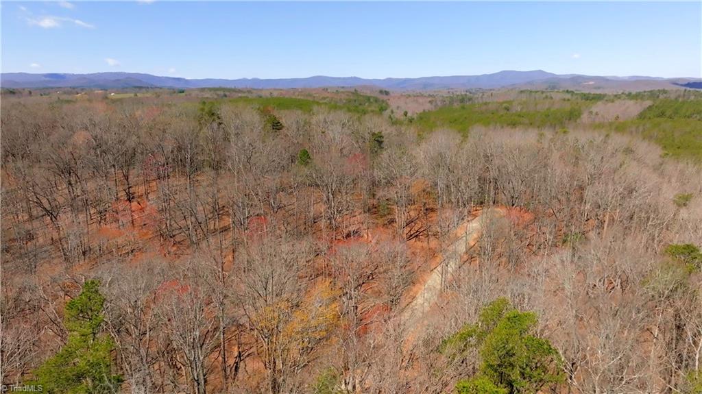 475 Fisher Valley Road Dobson, NC 27017 - Photo 16 of 50