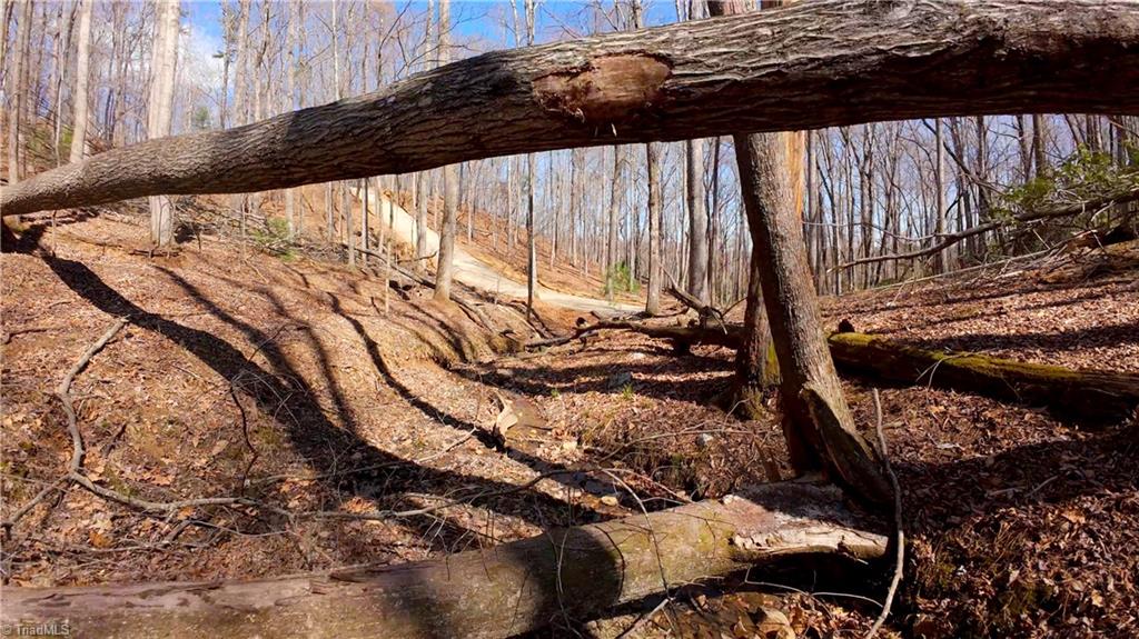 475 Fisher Valley Road Dobson, NC 27017 - Photo 17 of 50