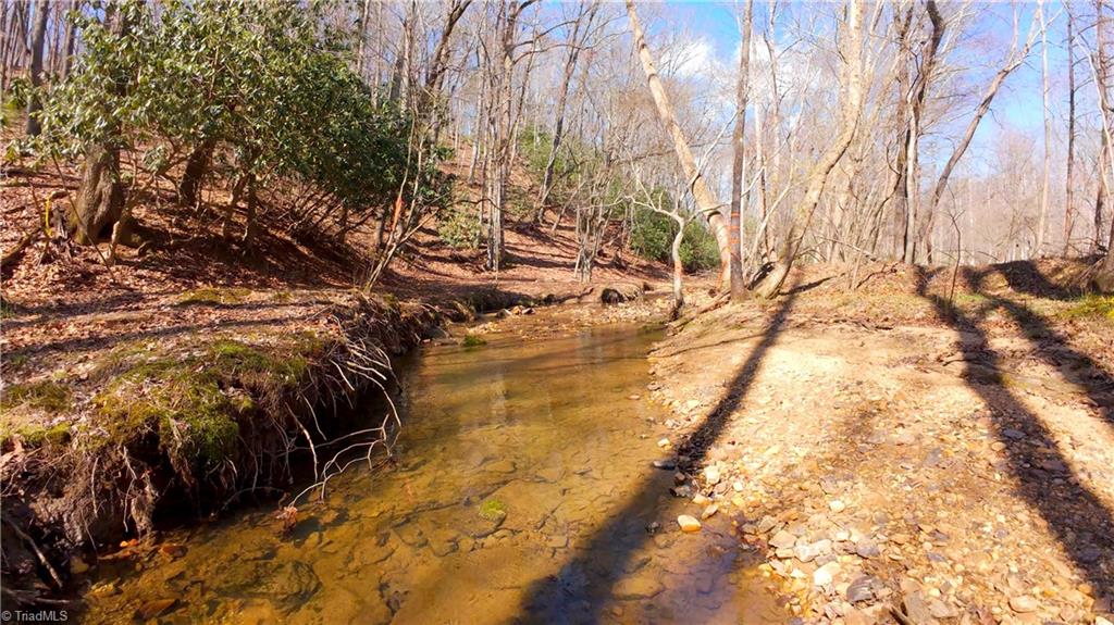 475 Fisher Valley Road Dobson, NC 27017 - Photo 19 of 50