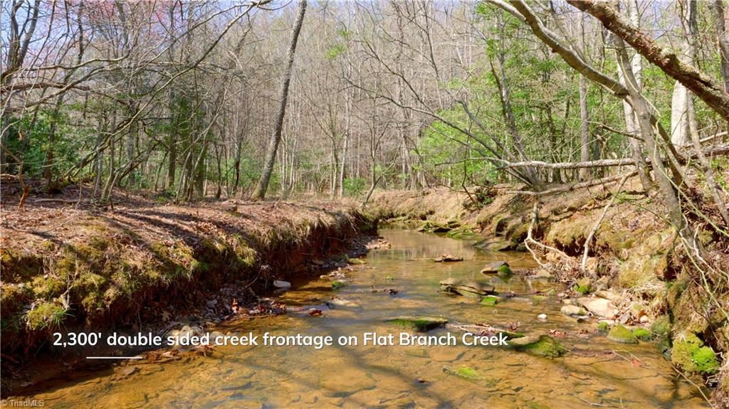 475 Fisher Valley Road Dobson, NC 27017 - Photo 2 of 50
