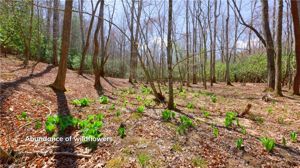 475 Fisher Valley Road Dobson, NC 27017 - Photo 22 of 50