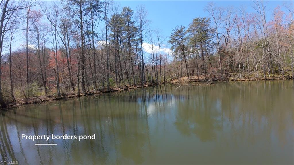 475 Fisher Valley Road Dobson, NC 27017 - Photo 23 of 50