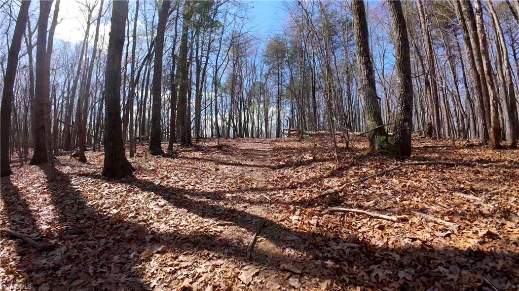 475 Fisher Valley Road Dobson, NC 27017 - Photo 24 of 50