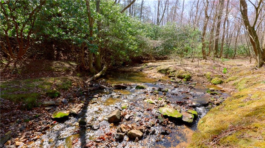 475 Fisher Valley Road Dobson, NC 27017 - Photo 28 of 50