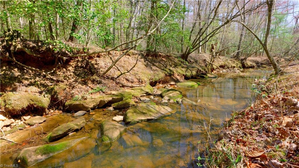 475 Fisher Valley Road Dobson, NC 27017 - Photo 30 of 50