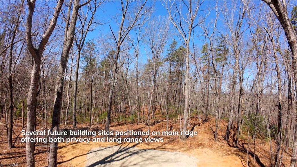 475 Fisher Valley Road Dobson, NC 27017 - Photo 3 of 50