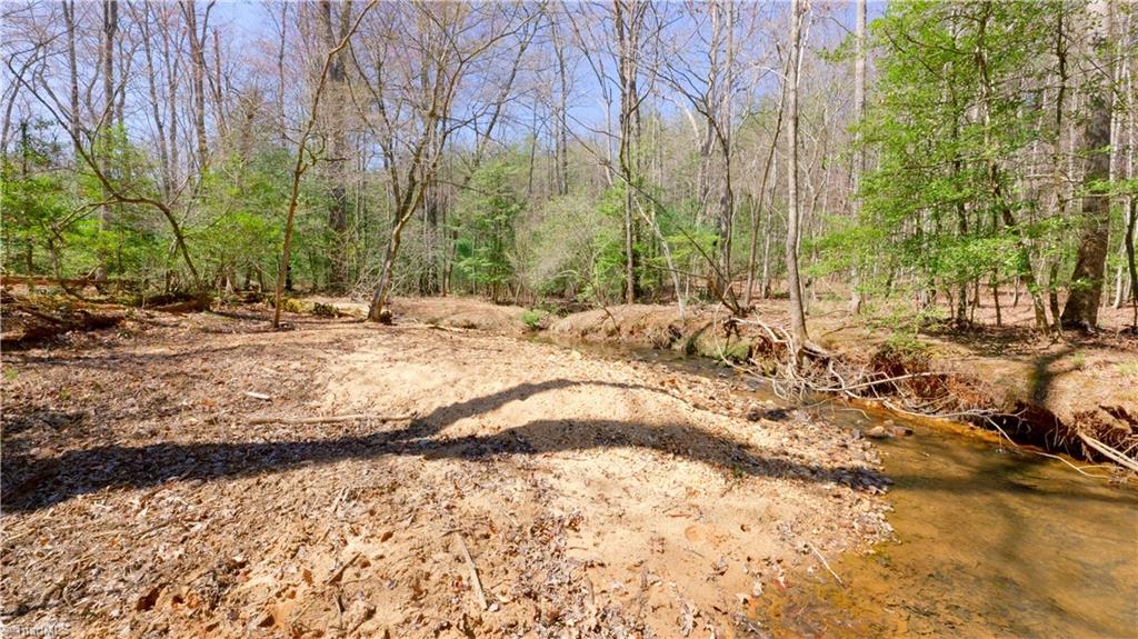 475 Fisher Valley Road Dobson, NC 27017 - Photo 31 of 50