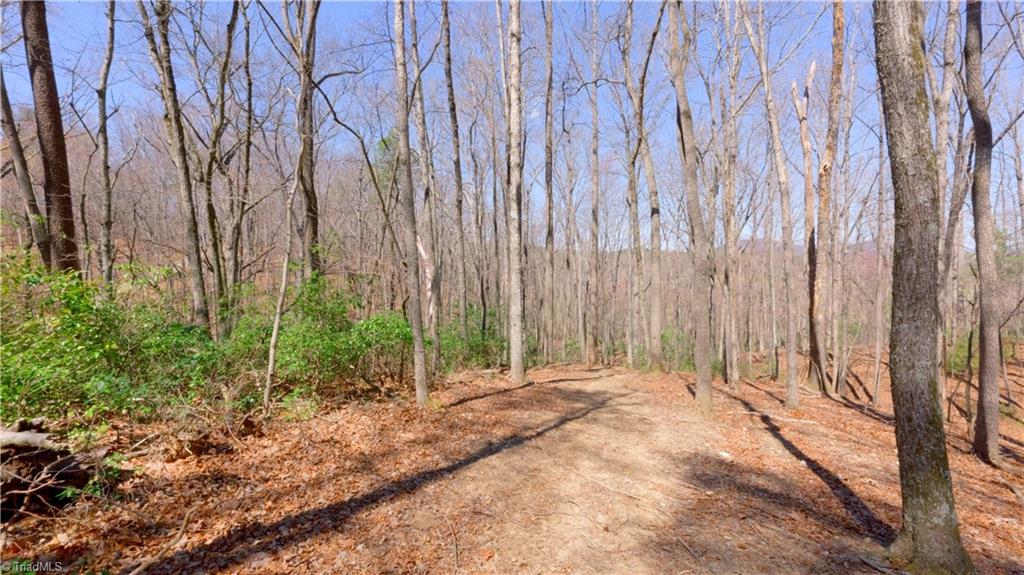 475 Fisher Valley Road Dobson, NC 27017 - Photo 32 of 50